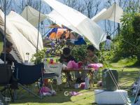 秋高气爽！岛城户外开满“帐篷花”