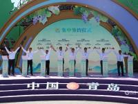 挑花眼！百余种“爆款”农品亮相丰收节