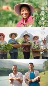 丰收里的中国传统色有多美？