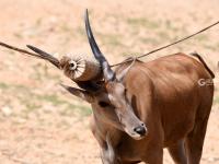“宝藏萌宠”大集合！金秋到这里逛起来