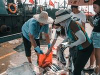 海鲜自由！鱼虾螃蟹“炫”起来