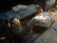 青岛渔港码头实拍：秋捕季，渔获大丰收