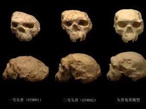 国家文物局：距今百万年头骨化石实证我国百万年人类史