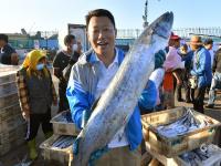 餐桌上的海鲜谁占C位？实拍渔港中秋盛况