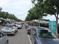 宫家村的葡萄熟了！快来实现“逛吃自由”