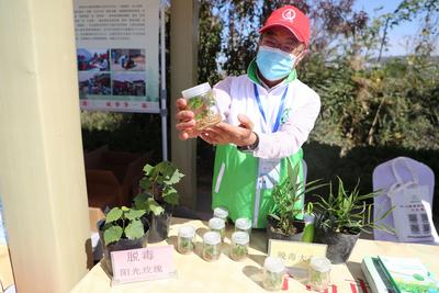 红苹果、绿芹菜、甜葡萄……“云逛”丰收节？戳这！