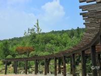 “一叶知秋”青岛版！实拍象耳山动人景色