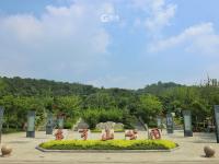 “一叶知秋”青岛版！实拍象耳山动人景色