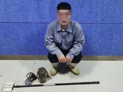 男子深夜抓了115只壁虎！没想到自己也被抓了