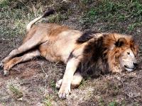 “宝藏萌宠”大集合！金秋到这里逛起来