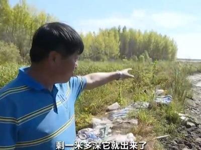 东北一鱼塘潜伏百斤巨蟒！它从哪儿冒出来的?