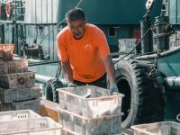 海鲜自由！鱼虾螃蟹“炫”起来