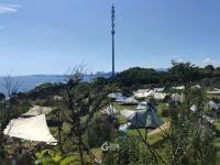 秋高气爽！岛城户外开满“帐篷花”