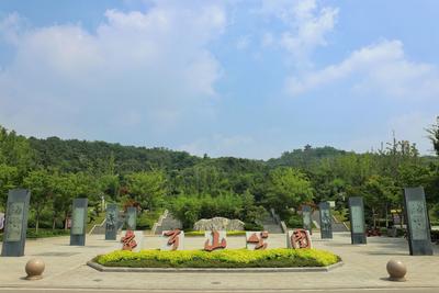 “一叶知秋”青岛版！实拍象耳山动人景色