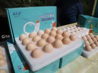 红苹果、绿芹菜、甜葡萄……“云逛”丰收节？戳这！