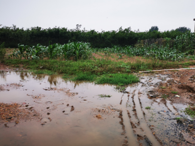 23个监测点实时监控，青岛市农业农村局全力做好台风“梅花”防范应对工作