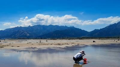 在如画的风景中赶海是什么体验？