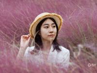 花语人间！这里的粉黛乱子草超梦幻