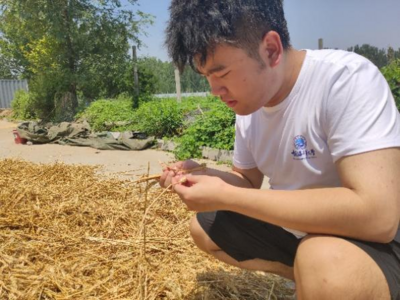 助力农村新能源再利用，海大学子一线调研生物质能源开发与利用