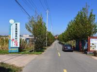 产业兴，农民富，乡村美！看，南官庄村