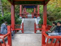 竹子庵公园：紫竹幽谷，入园赏秋正当时