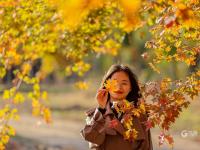 秋天的N种颜色·红 | 高颜值滤镜！青岛这片枫林太出片了