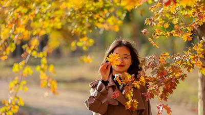 秋天的N种颜色·红 | 高颜值滤镜！青岛这片枫林太出片了