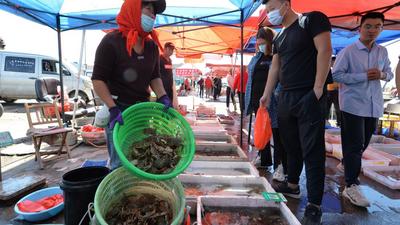 渔港实拍：亲民价小海鲜出没！吃货们注意