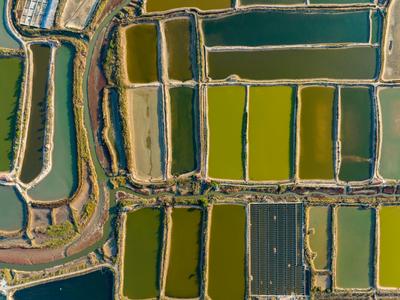 虾蟹池？几何油画？耳河村养殖基地的绝美航拍