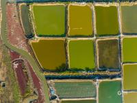 虾蟹池？几何油画？耳河村养殖基地的绝美航拍