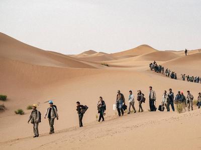国庆档总票房达14.7亿元，《万里归途》成最大赢家