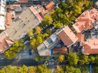 青岛老城这条“小众银杏路”颜值爆表