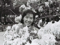 44年前的中山公园菊展啥样？戳图，感受“回忆杀”