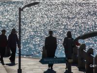 青岛最最最新上线的“观海打卡地”，是TA？