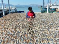 崂山码头：人间至味是鲜咸