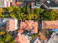 青岛老城这条“小众银杏路”颜值爆表