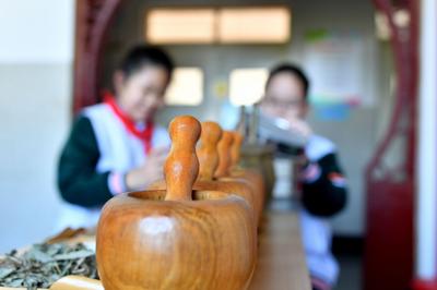 世界中医药日，孩子们学习捣药、制香囊……