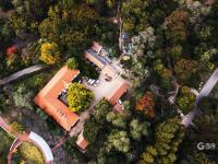 打翻了颜料盒？航拍中山公园多彩秋景