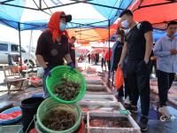 渔港实拍：亲民价小海鲜出没！吃货们注意