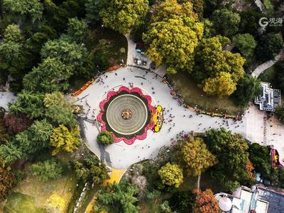 打翻了颜料盒？航拍中山公园多彩秋景