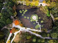 打翻了颜料盒？航拍中山公园多彩秋景