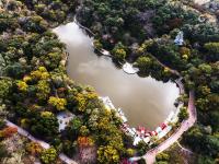 打翻了颜料盒？航拍中山公园多彩秋景