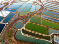 虾蟹池？几何油画？耳河村养殖基地的绝美航拍
