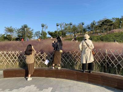 大型犬草坪上撒欢，游客翻越铁链入园……这些不文明旅游行为不可取！