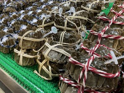 预约不上、缺斤少两……今年你躲过蟹卡蟹券的坑了吗？