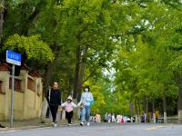 秋景上线，八大关开启“童话世界”模式