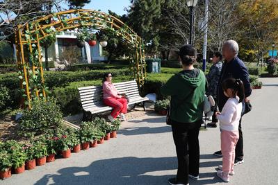 错过等一年！中山公园菊展时间过半，速来