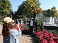 错过等一年！中山公园菊展时间过半，速来