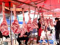 实拍灵山卫大集：画面有点费“哈喇子”，当心