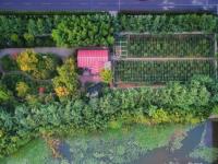 秋天的N种颜色 | 李村河畔，美呆了